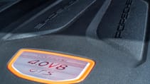 cayenne_gts065.jpg