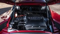 c-m_evora_print-8918.jpg