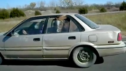 Animals in cars: the follow-up 