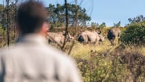 Top Gear saves the rhinos in South Africa Volkswagen Amarok