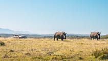 Top Gear saves the rhinos in South Africa Volkswagen Amarok