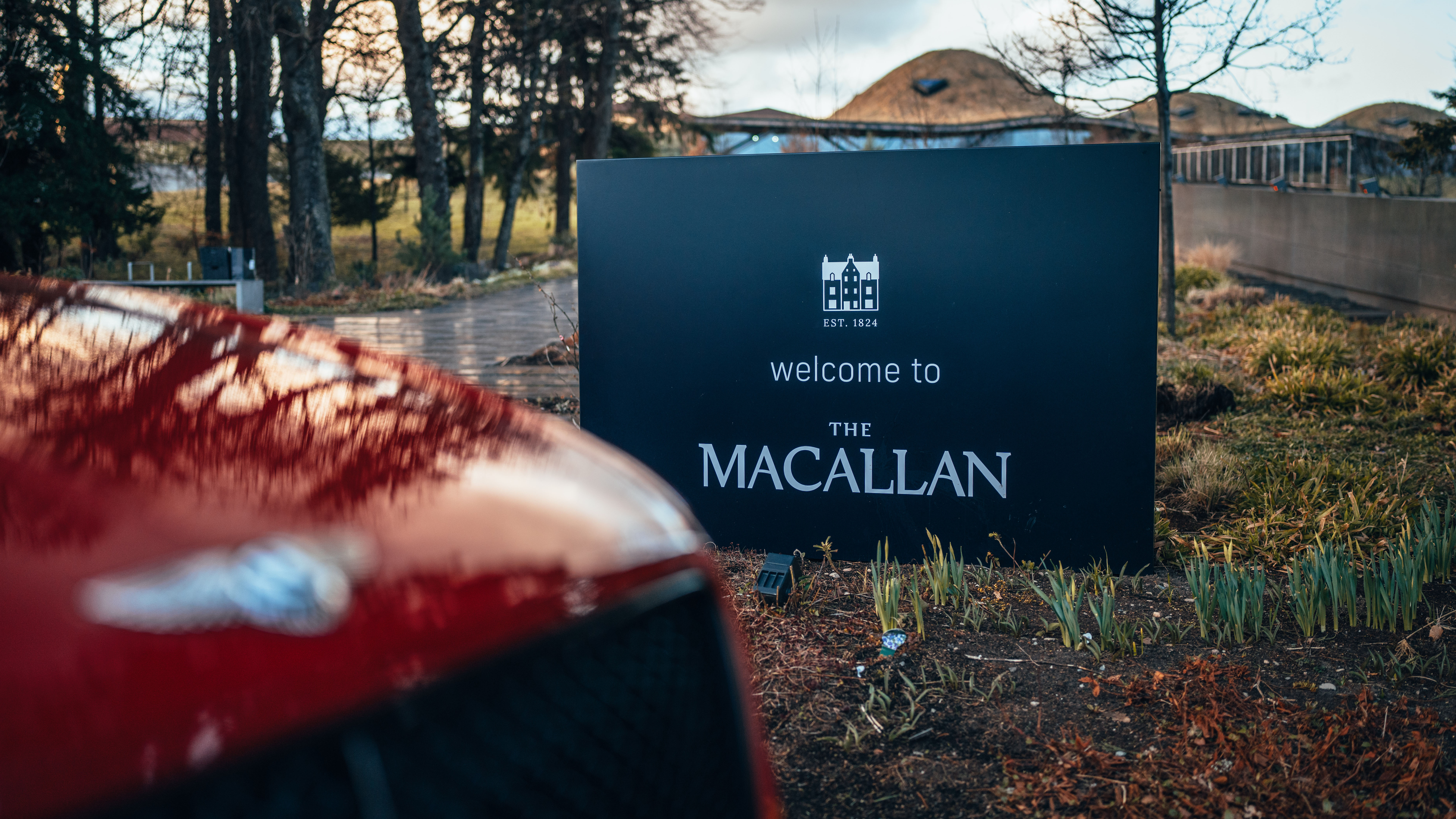 Macallan