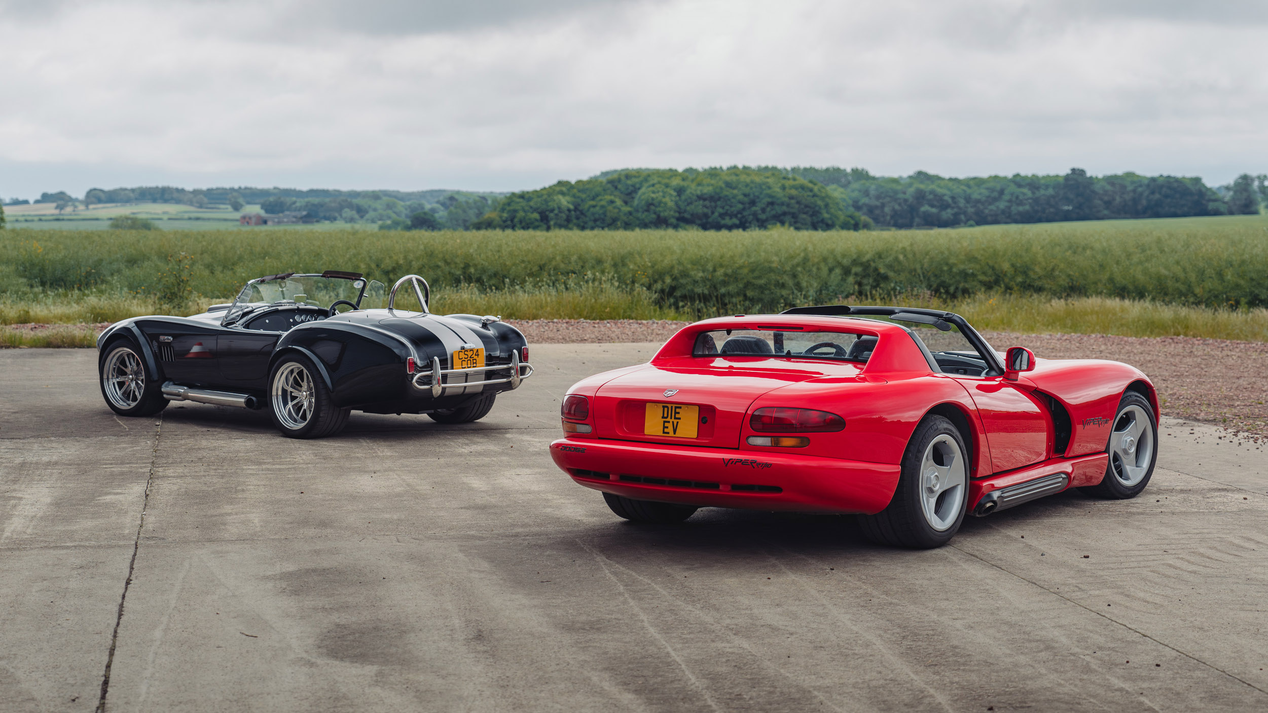 Shelby Cobra/Dodge Viper 