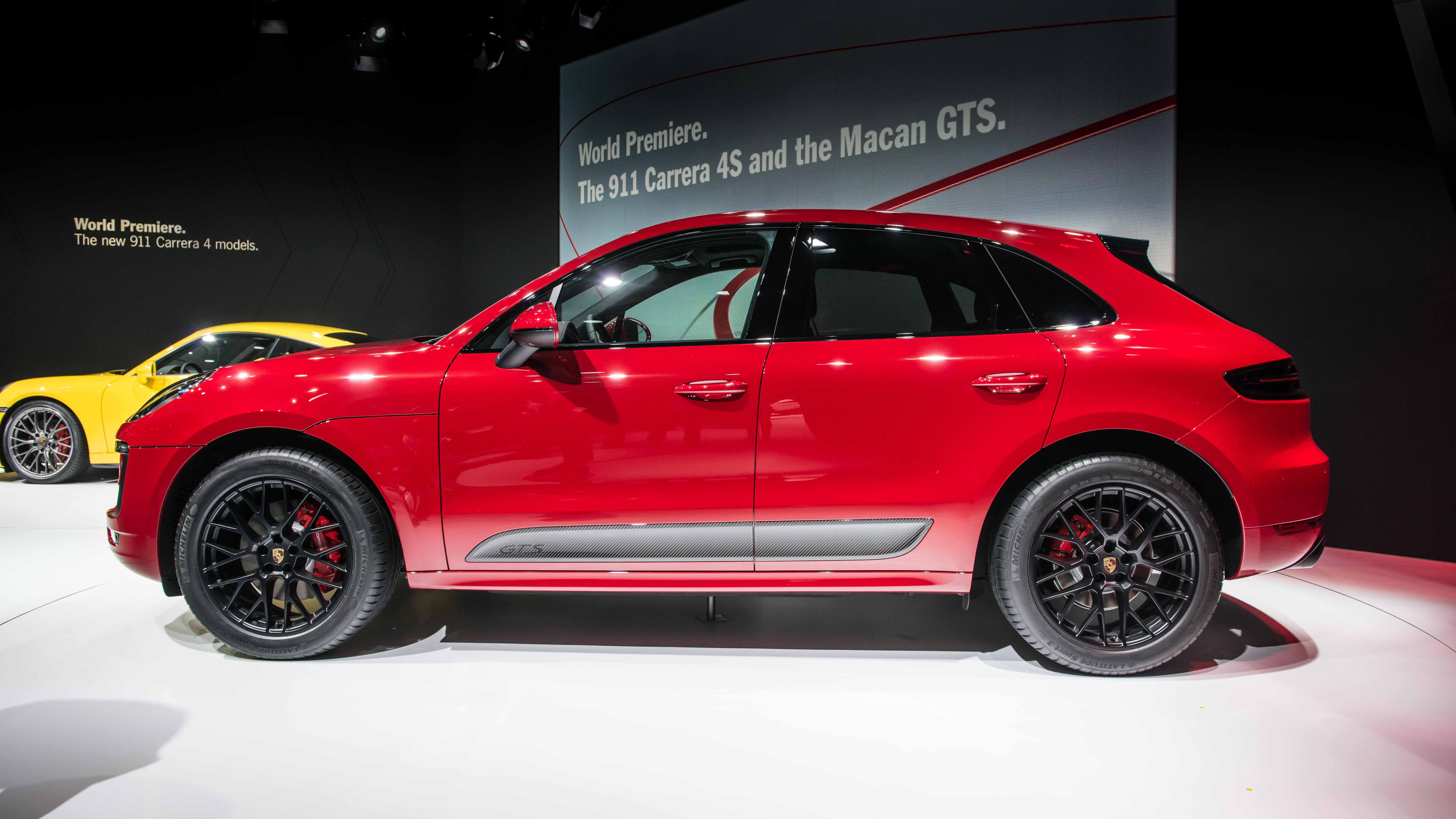 macan2.jpg