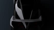 dendrobium_teaser_2.jpg