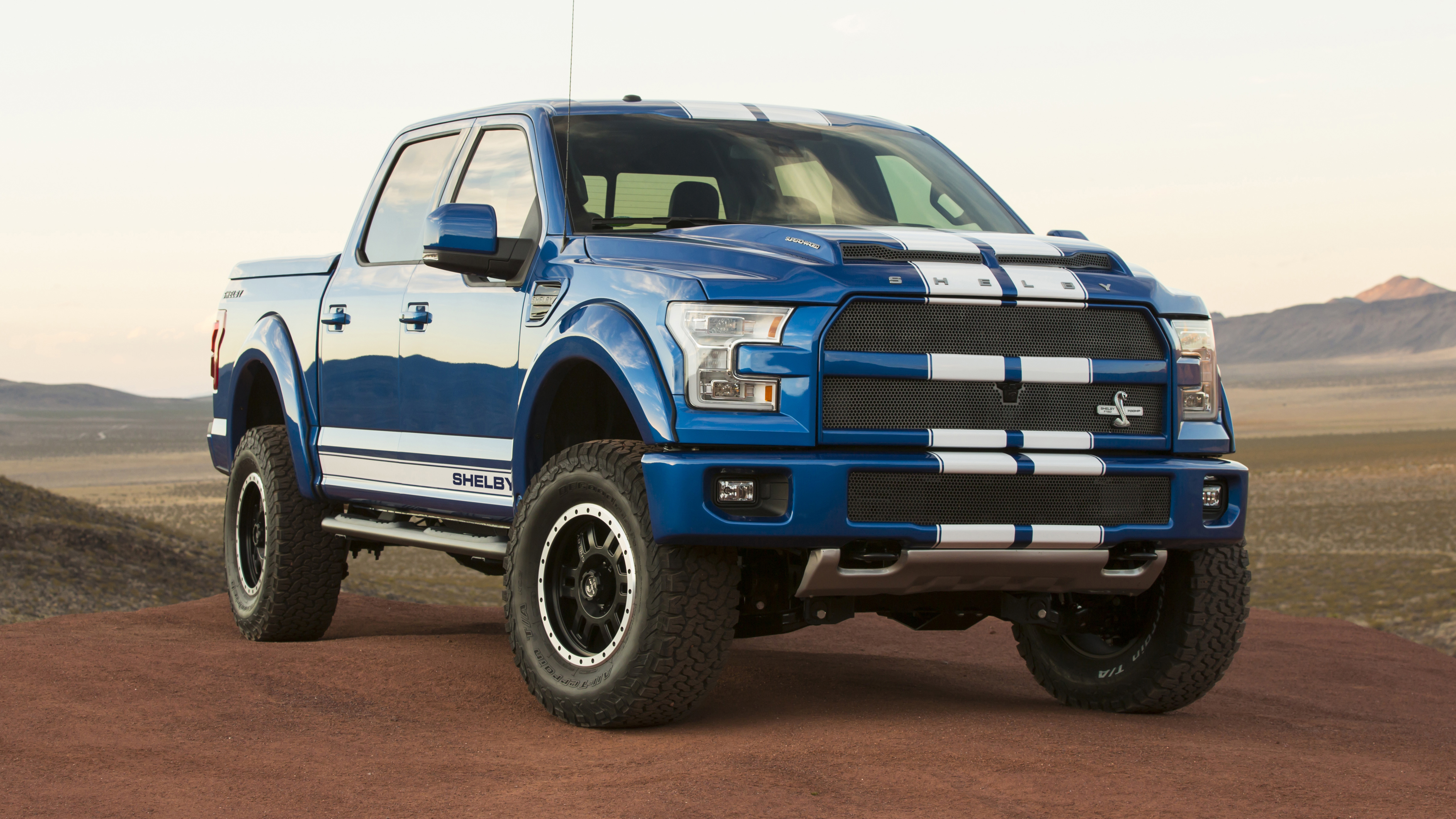 shelby_f150_road_truck_1.jpg