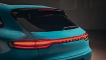 rp_-_2018_macan-10.jpg