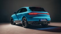 rp_-_2018_macan-18.jpg
