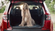 lr_petpacks_06_rubbermat_240818.jpg