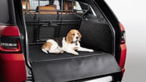 lr_petpacks_19_studio_240818.jpg