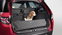 lr_petpacks_21_studio_240818.jpg