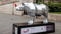 lr_tusk_rhinotrail_200818_004.jpg