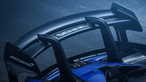 mclaren_senna_gtr_06.jpg