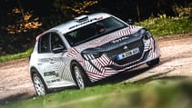 peugeot_sport_new_peugeot_208r2_3.jpg