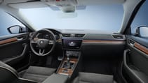 08_superb_scout.jpg