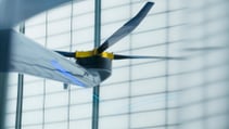 bird_14_lowres_190522.jpg