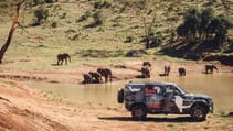lr_def_tusk_kenya_040619_03.jpg