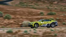 ks.pphc_.willow44.jpg