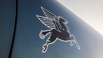 emory-transitional-speedster-pegasus-close-up.jpg