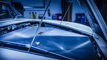 db6_175.jpg