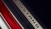 ford_mustang_mach-e_details_22.jpg
