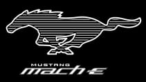 mustang_mach-e_pony_white_stripe.jpg
