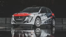 peugeot_208_rally_4_1.jpg