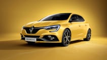 21238456_2020_-_new_renault_megane_r_s_trophy.jpg
