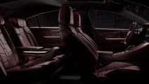 ds_9_-_ds_inspiration_art_rubis_nappa_leather_41.jpg