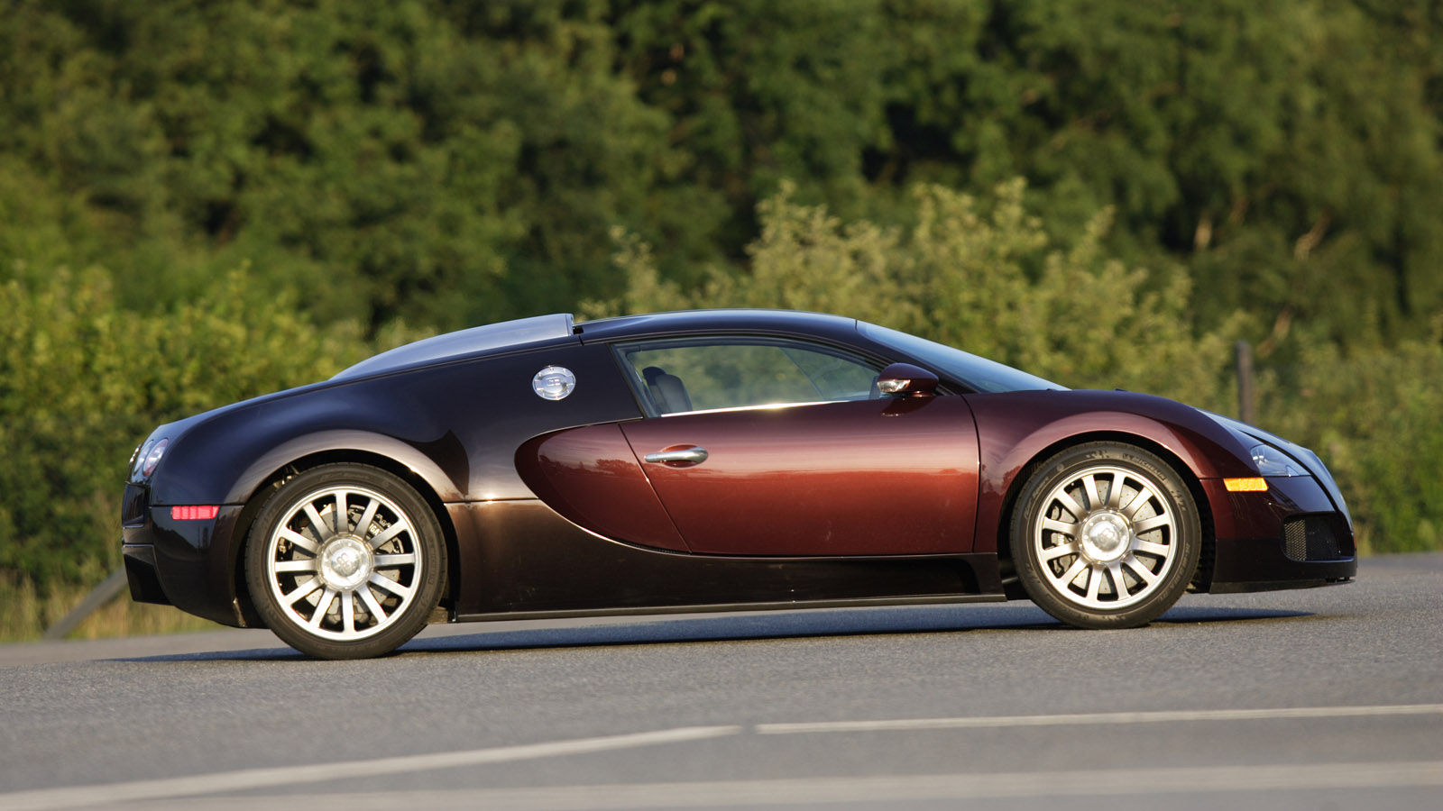 015_15_years_veyron_400.jpg