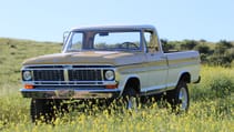 icon_ford_70_reformer_f34_mountains_flowers_alt_img_1669.jpg