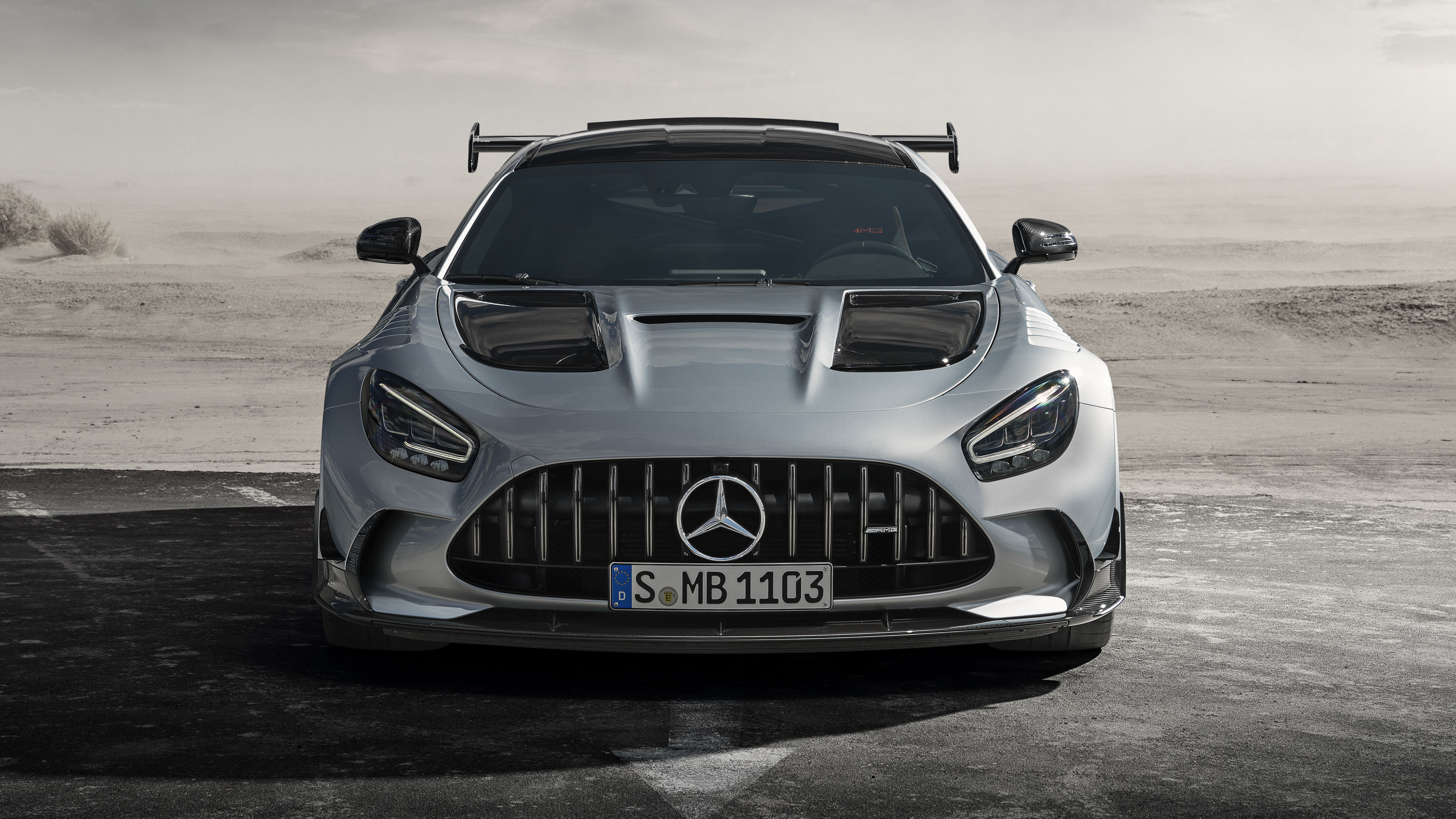 tg_amg_gt_bs_1.jpg