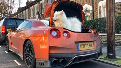 GT-R dog spec Top Gear