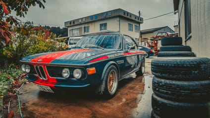 This car graveyard is where rare gems go to die