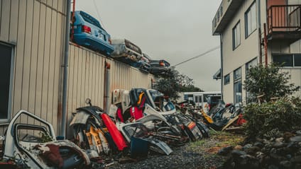 This car graveyard is where rare gems go to die