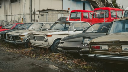 This car graveyard is where rare gems go to die