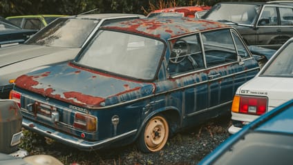 This car graveyard is where rare gems go to die