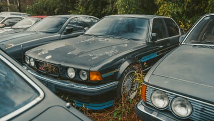 This car graveyard is where rare gems go to die