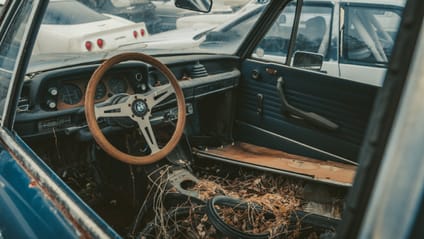 This car graveyard is where rare gems go to die