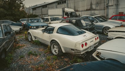 This car graveyard is where rare gems go to die