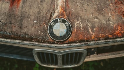 This car graveyard is where rare gems go to die