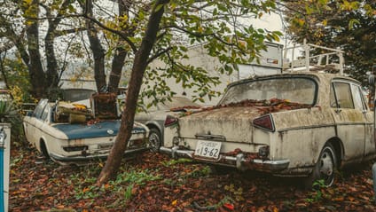 This car graveyard is where rare gems go to die