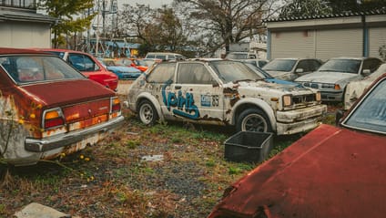 This car graveyard is where rare gems go to die