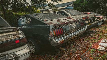 This car graveyard is where rare gems go to die