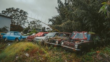 This car graveyard is where rare gems go to die