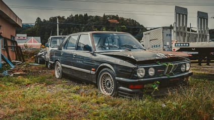 This car graveyard is where rare gems go to die