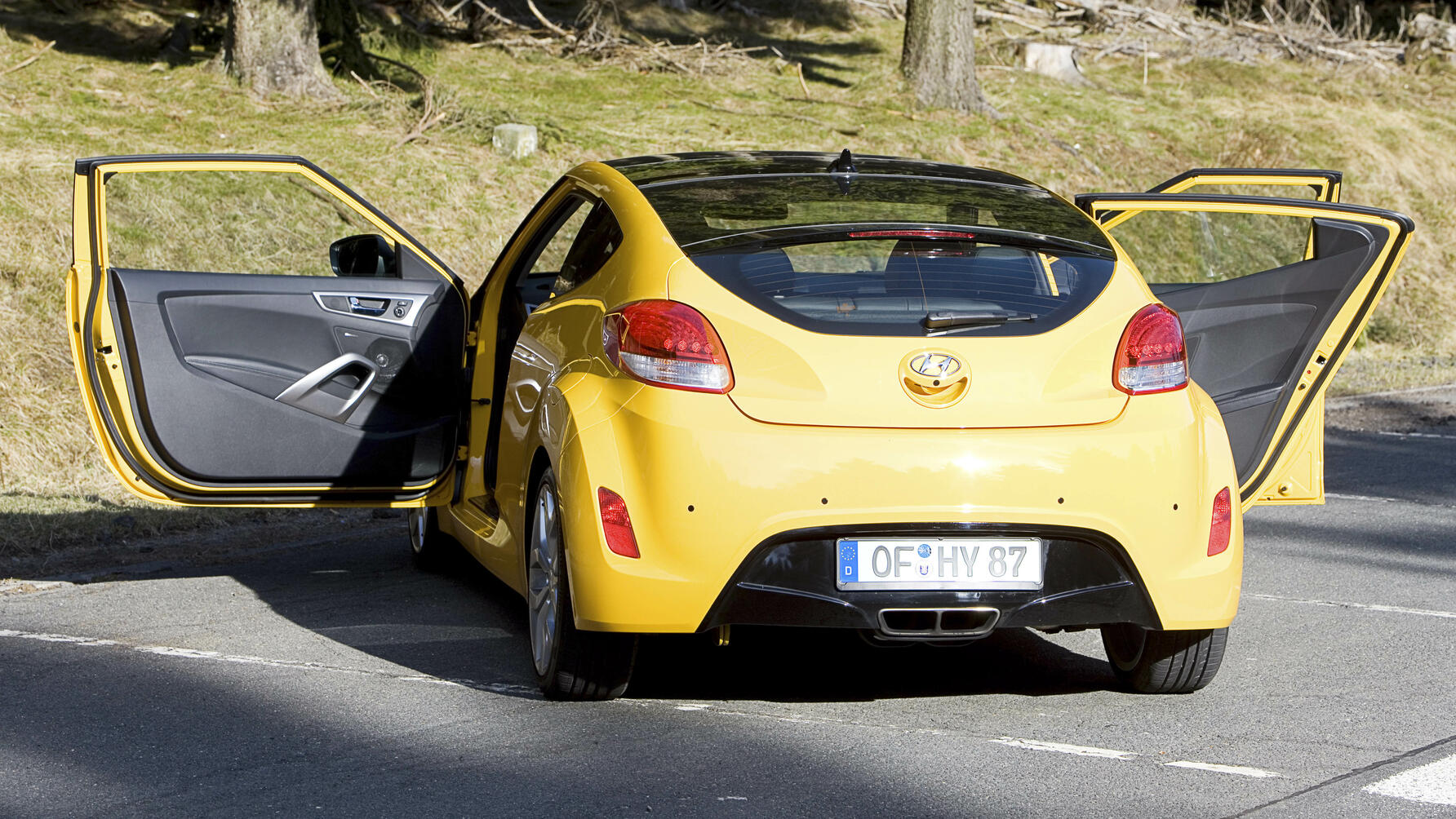 Hyundai Veloster doors