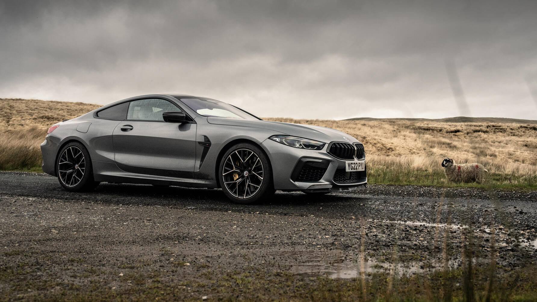 BMW M8 F92